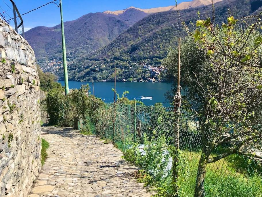 Romantic Home Stone With Amazing View Lake Of Como And Oleandra Laglio Exteriér fotografie
