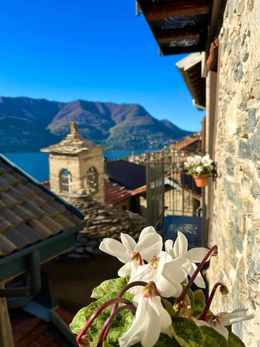 Romantic Home Stone With Amazing View Lake Of Como And Oleandra Laglio Exteriér fotografie