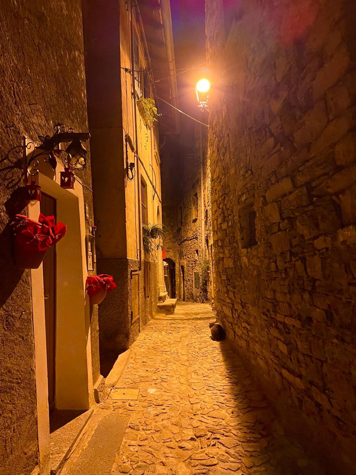 Romantic Home Stone With Amazing View Lake Of Como And Oleandra Laglio Exteriér fotografie